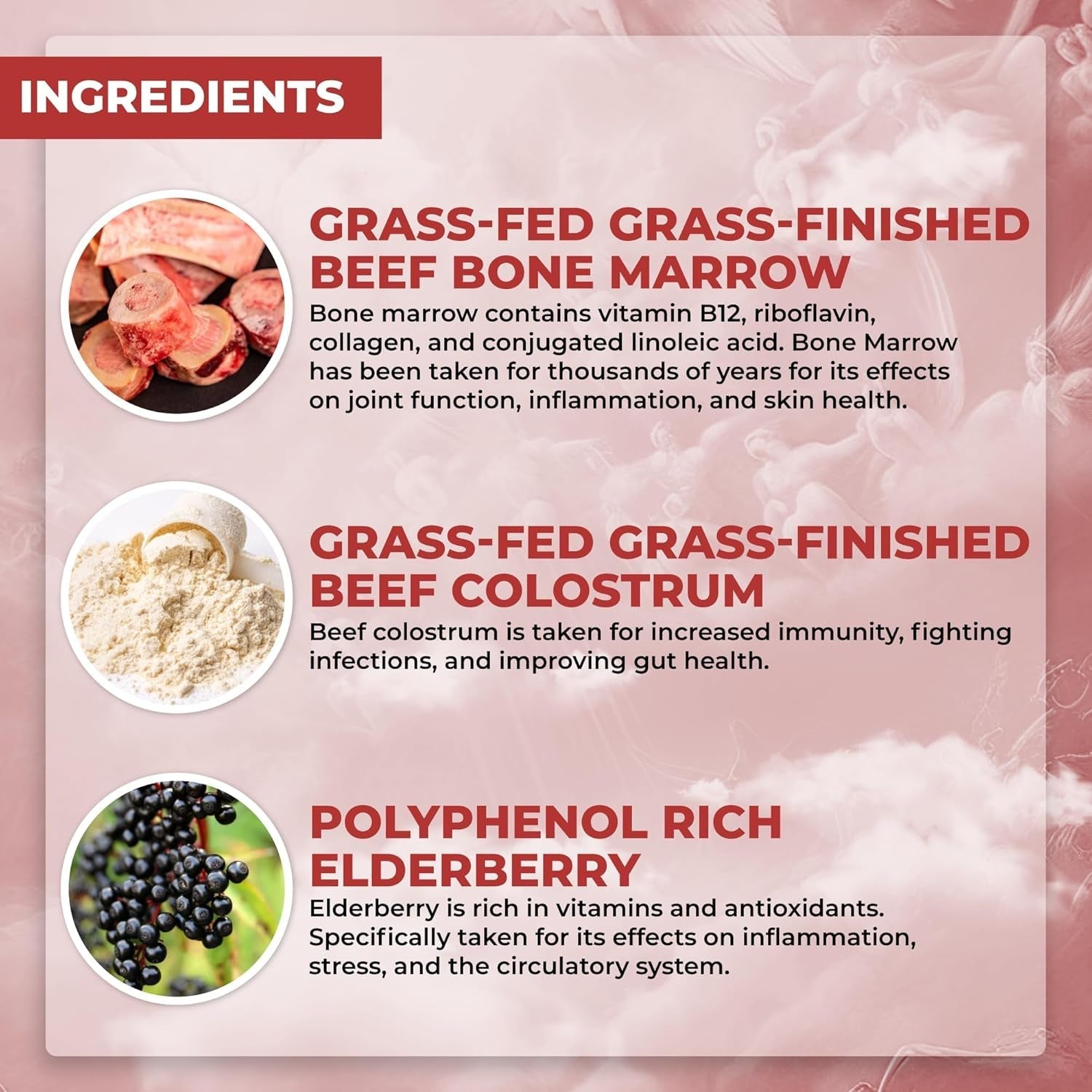 Santa Cruz Paleo Food of the Gods Grass Fed Beef Organ Supplement 30 Servings