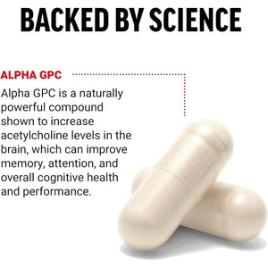 FORCE FACTOR Alpha GPC Brain Supplement for Memory and Focus, Mood Support Supplement with Alpha GPC 300Mg, 60 Capsules.