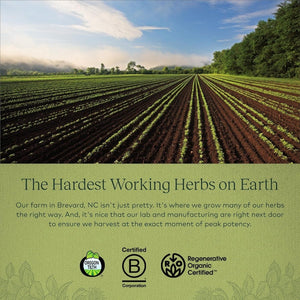 Gaia Herbs Adrenal Health Daily Support - Herbal Supplement (120 Capsules) - Suppviv