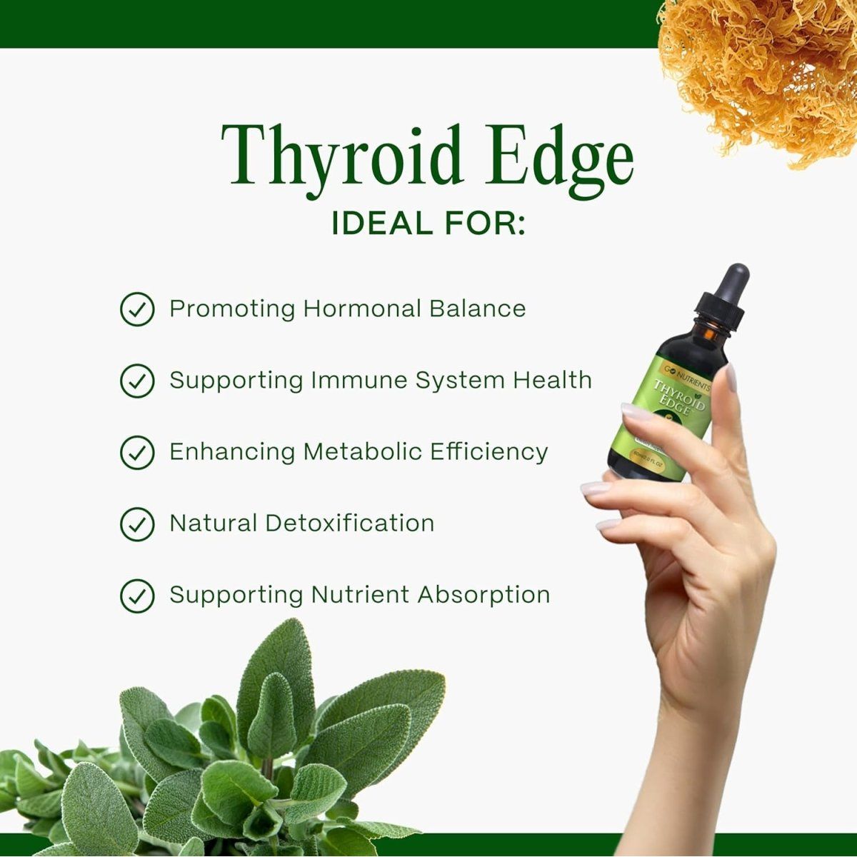 Go Nutrients Thyroid Edge - Thyroid Support for Women & Men 1 PACK - Suppviv