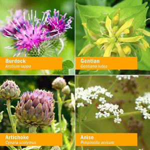 Herb Pharm Better Bitters Certified Organic Digestive Bitters, Classic, 1 Ounce - Suppviv