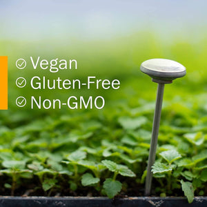 Herb Pharm Better Bitters Certified Organic Digestive Bitters, Classic, 1 Ounce - Suppviv