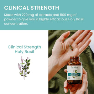 Himalaya Holy Basil Tulsi Herbal Supplement, 720 Mg, 60 Capsules, 2 Pack - Suppviv