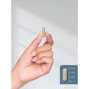 Horbäach Raw Adrenal Glandular | 350 Mg | 90 Capsules | - Suppviv