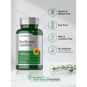 Horbäach Sunflower Lecithin Softgel Capsules | 2400Mg | 60 Pills | Naturally Occurring Phospholipids - Suppviv