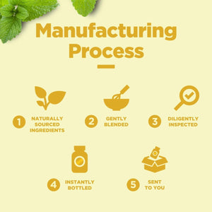 Lemon Balm Extract for Mood & Immune Support and Digestive Health - Suppviv