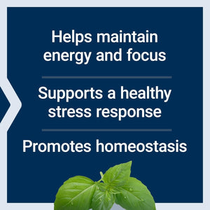 Life Extension Adrenal Energy Formula, Helps Inhibit the Effects of Stress, 120 Capsules - Suppviv