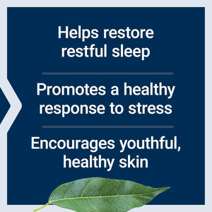 Life Extension Enhanced Sleep without Melatonin, Ashwagandha Sleep & Stress Support 30 Capsules - Suppviv