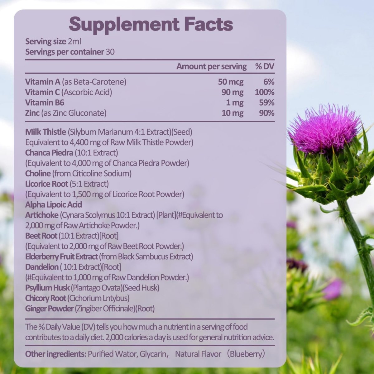 Liver Cleanse Detox & Repair Liquid 1100Mg Milk Thistle Supplement 1 PACK - Suppviv