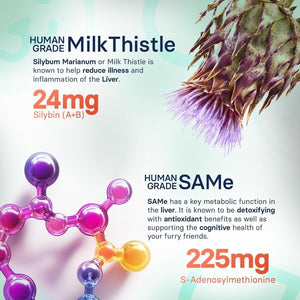 Liver Support & Health Supplement for Medium Dogs – 30 Tablets - Suppviv