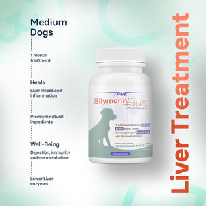 Liver Support & Health Supplement for Medium Dogs – 30 Tablets - Suppviv