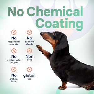 Liver Support & Health Supplement for Medium Dogs – 30 Tablets - Suppviv