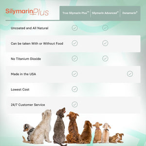 Liver Support & Health Supplement for Medium Dogs – 30 Tablets - Suppviv