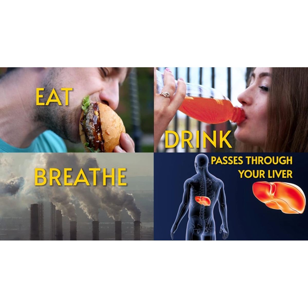 Liverite Liver Aid with Milk Thistle 150 Capsules, Liver Support, Liver Cleanse, Liver Care, Improves Energy - Suppviv