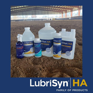 Lubrisyn HA with MSM - Proprietary Vegan Joint Relief Edible Supplement Made in USA for Humans - 30 Day Supply - Suppviv