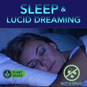 Lucid Dreams Deep Sleep - Mugwort Herb 5 Htp Mucuna Pruriens Choline Supplements 60 Ct - Suppviv