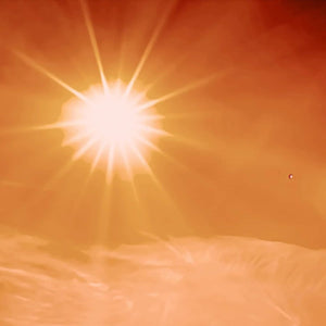 MICHAEL'S Health Naturopathic Programs Energy Adrenal Support - 90 Tablets - Suppviv