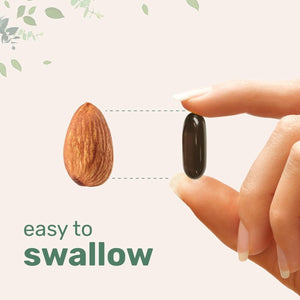 Micro Ingredients Sunflower Lecithin 1,600Mg per Serving, 300 Softgels | Lactation Supplement - Suppviv