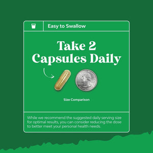 Milk Thistle Herbal Liver Support & Milk Thistle Extract 1 PACK - Suppviv