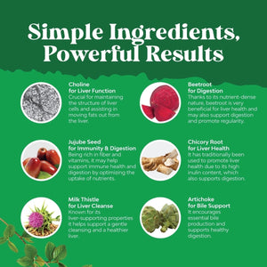 Milk Thistle Herbal Liver Support & Milk Thistle Extract 1 PACK - Suppviv