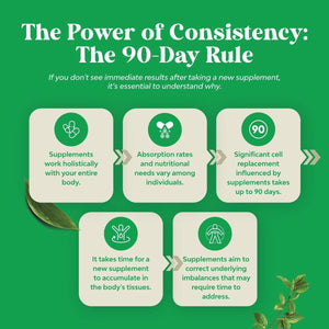 Milk Thistle Herbal Liver Support & Milk Thistle Extract 1 PACK - Suppviv