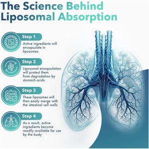 Mullein Drops for Lungs – Natural Lung Detox Supplement – Mucus Relief – Vegan – Made in USA - Suppviv