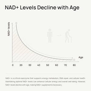NAD+ Supplement for Men – Anti - Aging, Antioxidant, & Cellular Energy Support 30 Capsules, GMO Free - Suppviv
