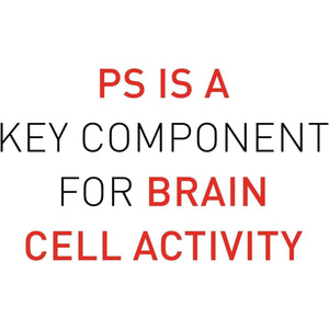 Natural Factors, Phosphatidylserine, Support for Memory, Concentration and Brain Functions, Soy and Gluten Free, 120 Softgels - Suppviv