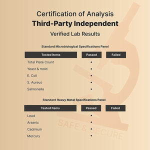 Naturebell Sunflower Lecithin 2,400Mg, 240 Softgels | Rich in Phosphatidyl Choline - Suppviv