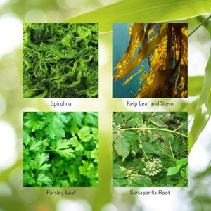 Nature'S Sunshine Thyroid Activator 100 Capsules - Suppviv