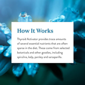 Nature'S Sunshine Thyroid Activator 100 Capsules - Suppviv