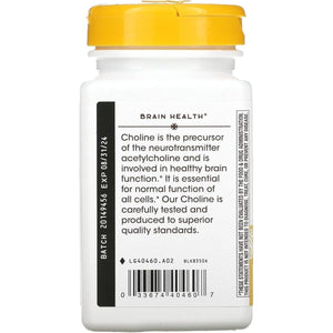 NATURES WAY 500Mg 100 Tb Choline, 100 CT - Suppviv