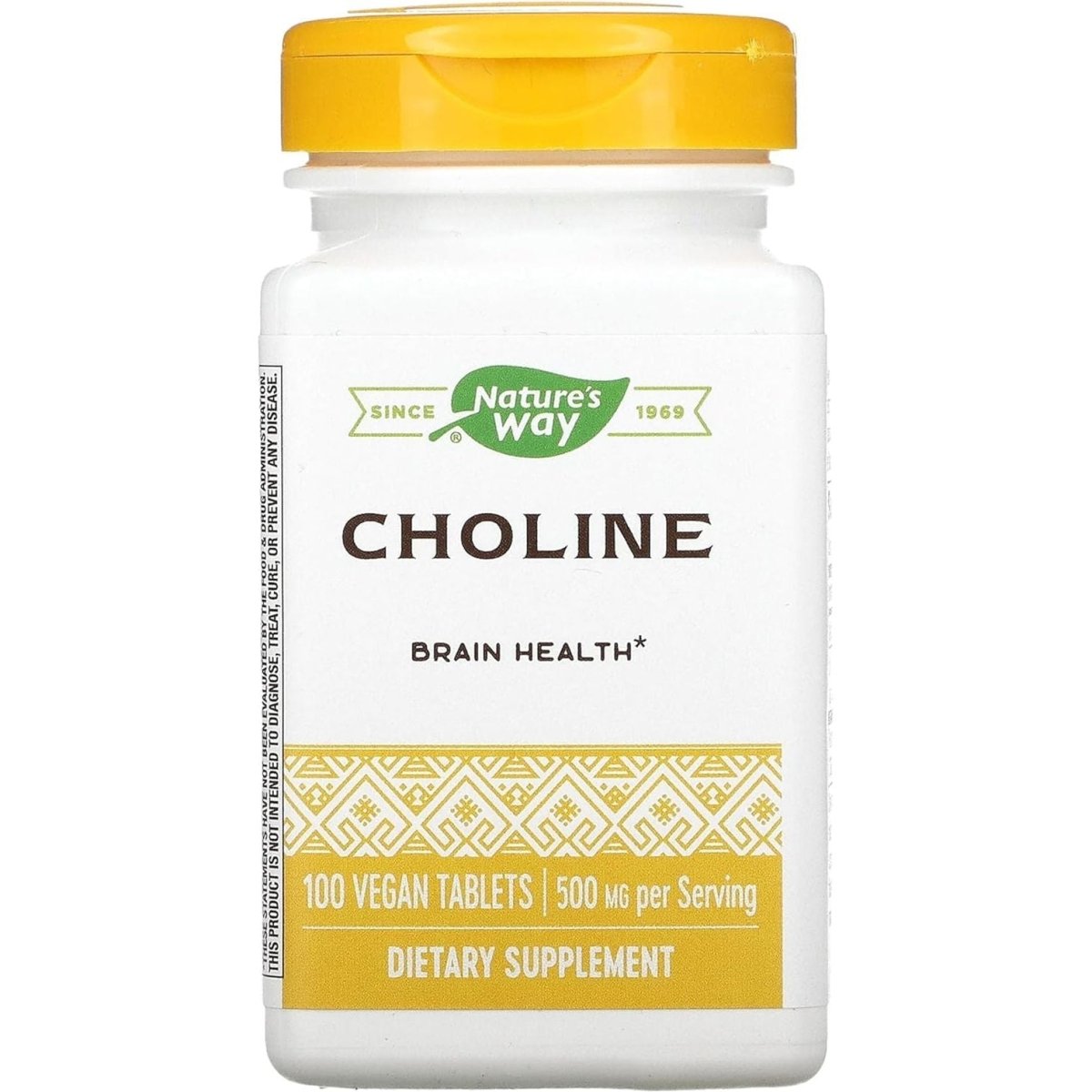 NATURES WAY 500Mg 100 Tb Choline, 100 CT - Suppviv
