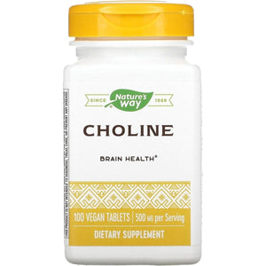 NATURES WAY 500Mg 100 Tb Choline, 100 CT - Suppviv