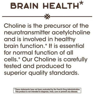 Nature'S Way Choline, 500 Mg, 100 Tablets, Pack of 2 - Suppviv