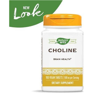 Nature'S Way Choline, 500 Mg, 100 Tablets, Pack of 2 - Suppviv