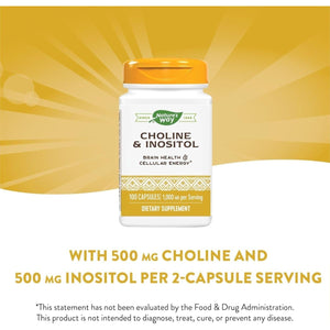 Nature'S Way Choline & Inositol - 1,000 Mg - Supports Brain Health & Cellular Energy* 100 Capsules - Suppviv