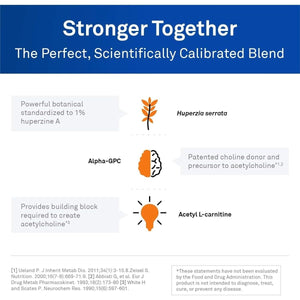 Neuroscience Memory & Focus Supplement with Huperzine A, Acetyl L Carnitine & Alpha GPC - (90 Capsules) - Suppviv