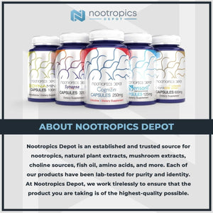 Nootropics Depot Alpha - Gpc 99% Powder | 30 Grams | Brain Booster | Choline Supplement | Supports Brain Health, Memory and Focus - Suppviv