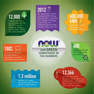 Now Choline & Inositol, 180 Veg Capsules - Suppviv