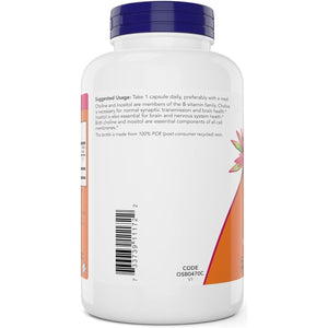 Now Choline & Inositol, 180 Veg Capsules - Suppviv