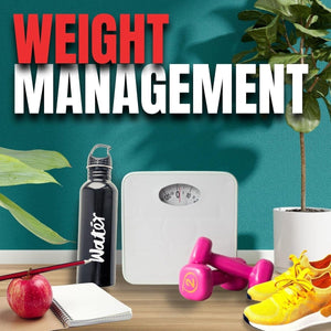 Omnitrition Thermo Java Sugar Free Drink Mix, 10.6 Oz Bottle - Suppviv