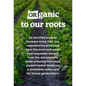 Oregon'S Wild Harvest Certified Organic Milk Thistle Dandelion Capsules, 90 Count - Suppviv