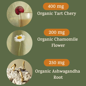 Peak + Valley Natural Sleep Aid for Adults - 90 Capsules for Deep Sleep - Suppviv