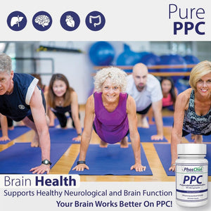 Phoschol PPC Polyenyl Phosphatidylcholine Choline Supplement 900Mg 100 Gelatin Capsules - Suppviv