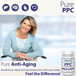 Phoschol PPC Polyenyl Phosphatidylcholine Choline Supplement 900Mg 100 Gelatin Capsules - Suppviv
