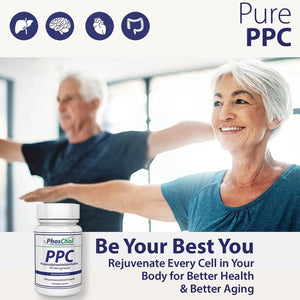 Phoschol PPC Polyenyl Phosphatidylcholine Choline Supplement 900Mg 100 Gelatin Capsules - Suppviv