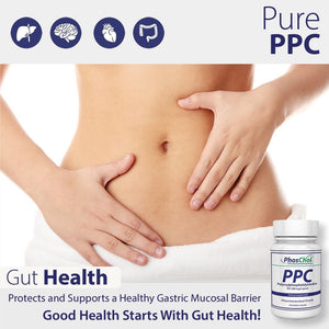 Phoschol PPC Polyenyl Phosphatidylcholine Choline Supplement 900Mg 100 Gelatin Capsules - Suppviv