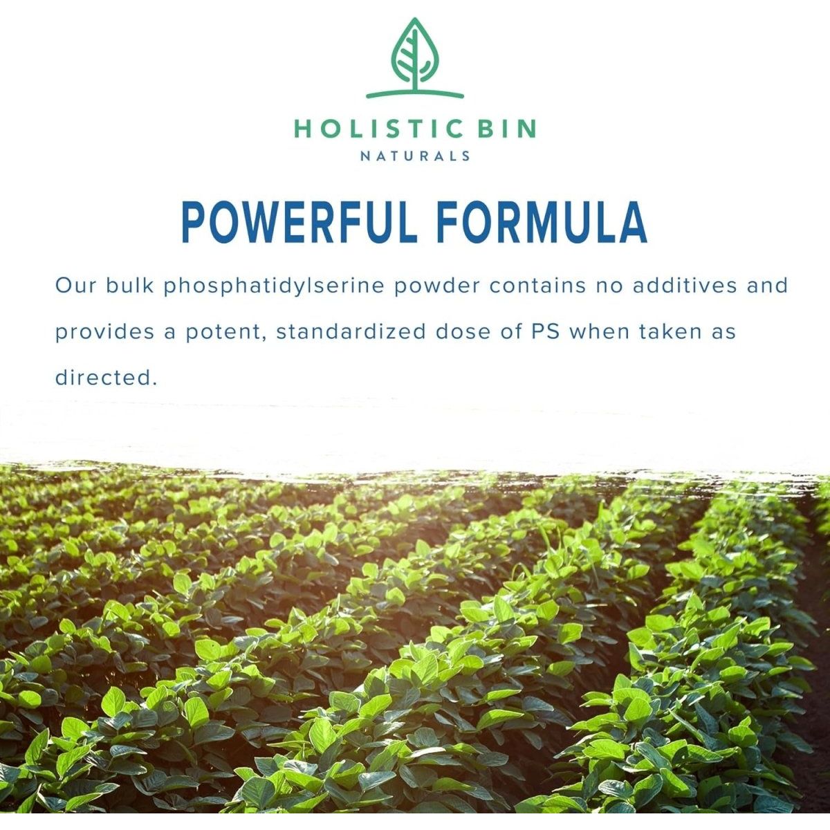 Phosphatidylserine Powder | Phosphatidylserine Supplement Powder | Nootropics Brain Support Supplement - Suppviv