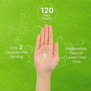 Phosphatidylserine Supplement, 400Mg Serving, 240 Capsules – Soy Free Sunflower Lecithin Source - Suppviv